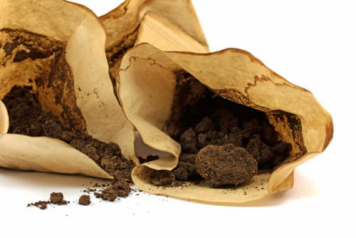 are coffee filters compostable
