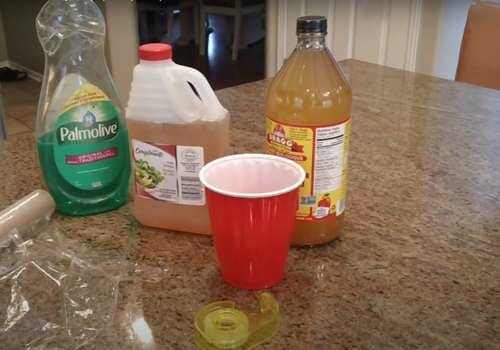 Try These Easy and Non Toxic Way to Kill Flies 2 home made fruit fly trap
