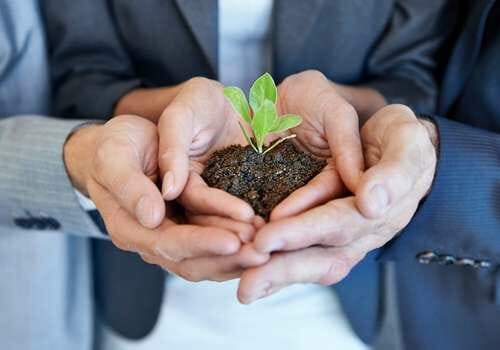 Eco Friendly vs Environment Friendly: The Difference 2 how to tell if a company is serious about the environment