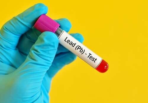 stay way from lead muffin pans