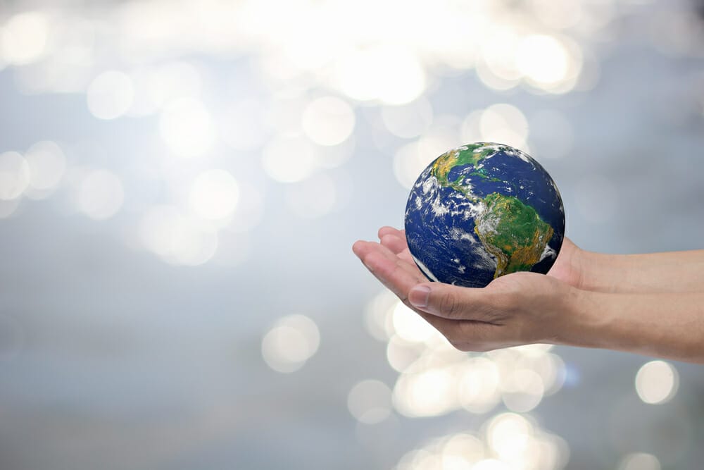 eco-friendly paper towels