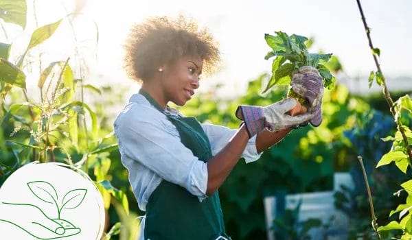 what is sustainable harvesting? everything to know