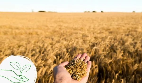 What Is Sustainable Harvesting? Everything To Know 1 2. the link between sustainable harvesting and ecological sustainability