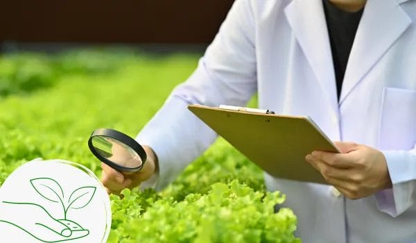 What Is Sustainable Harvesting? Everything To Know 2 3. examples of sustainable harvesting practices