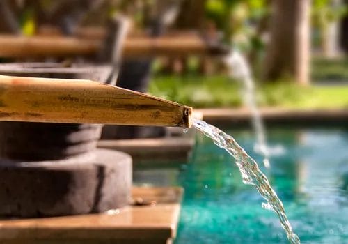 Why Is Bamboo Eco Friendly? Learn How It Grows & Its Everyday Uses 2 3. bamboo as a sustainable alternative