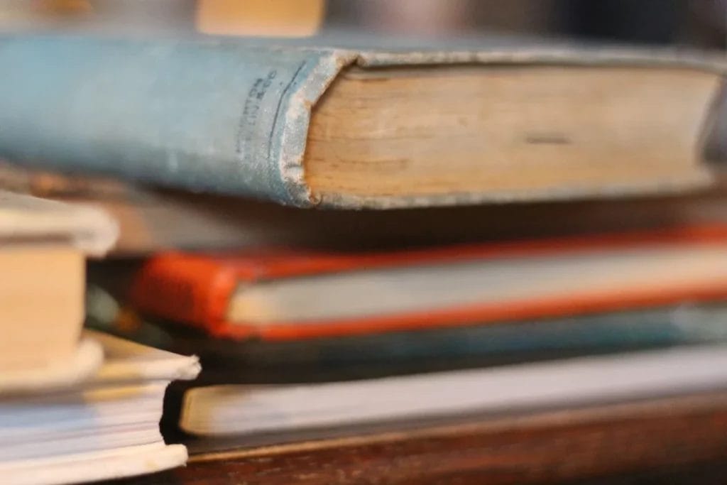 is thrifting sustainable