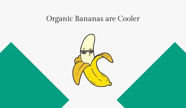 Unpeeling The Nutritional Benefits Of Organic And Regular Bananas 1 1. photo of a cartoon banana with shades on to emphasize that organic bananas are cooler and have many benefits