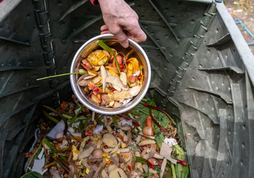 36 Mind-Blowing & Easy Ways to Live a Zero Waste Lifestyle 4 5. compost food scraps and yard waste