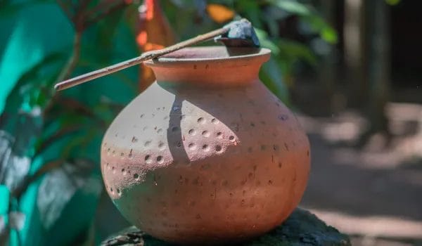 sustainable gardening: are earthen clay pots biodegradable?