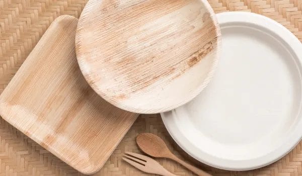 Are Palm Leaf Plates Recyclable 1 2. understanding palm leaf plates