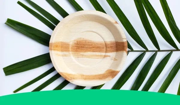 Are Palm Leaf Plates Recyclable 2 3. the benefits of using palm leaf plates
