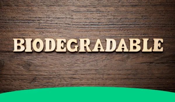 3. understanding biodegradability