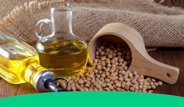 4. alternative sustainable materials