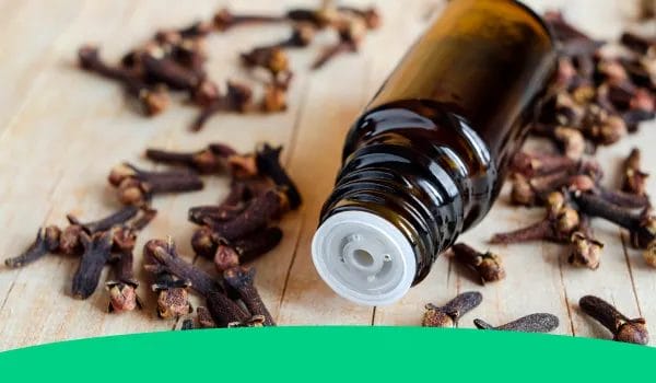 How To Dispose Of Essential Oils 3 4. safe disposal of spilled or contaminated oils