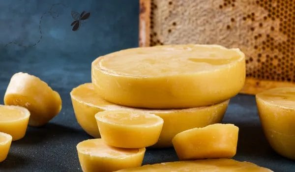is beeswax biodegradable? everything you need to know